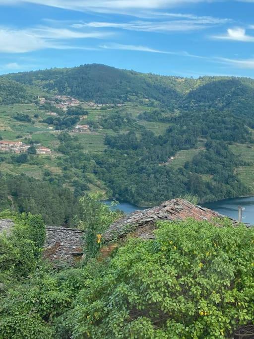 Nogueira de AbaixoCasa Do Feligres E Da Alsira别墅 外观 照片